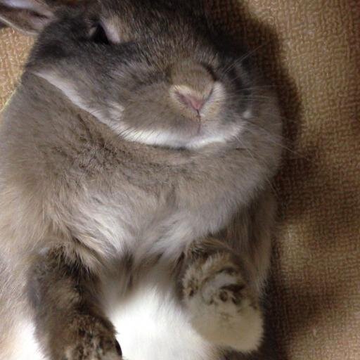 y_bizb's profile picture. 主に面白かったニュース、名言などをつぶやきます。たまに日常のくだらないこともつぶやきます。