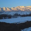 Cameron Bird - @camnazbird - Twitter