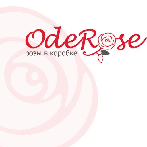 OdeRose_ru's profile picture. Интернет-магазин роз в коробках OdeRose.ru Санкт-Петербург