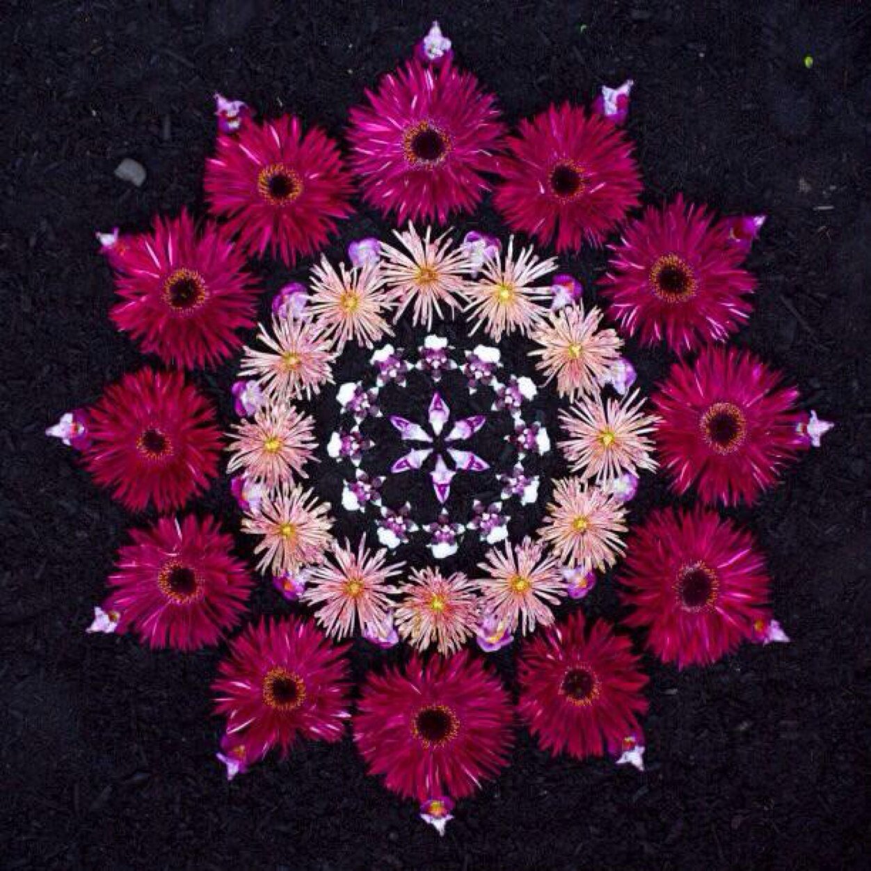 kungfusam007's profile picture. ✨a mente é um labirinto onde qualquer pessoa pode se perder✨ |18| #Taurus #Latina