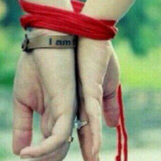 ‏‏‏‏‏‏كوكو