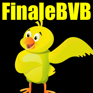 BVB Fans twittern über das Pokalfinale 2015 in Berlin!