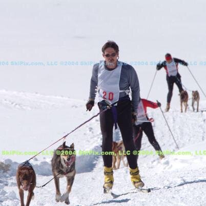 lowdog47's profile picture. Geologist and recreational skijorer