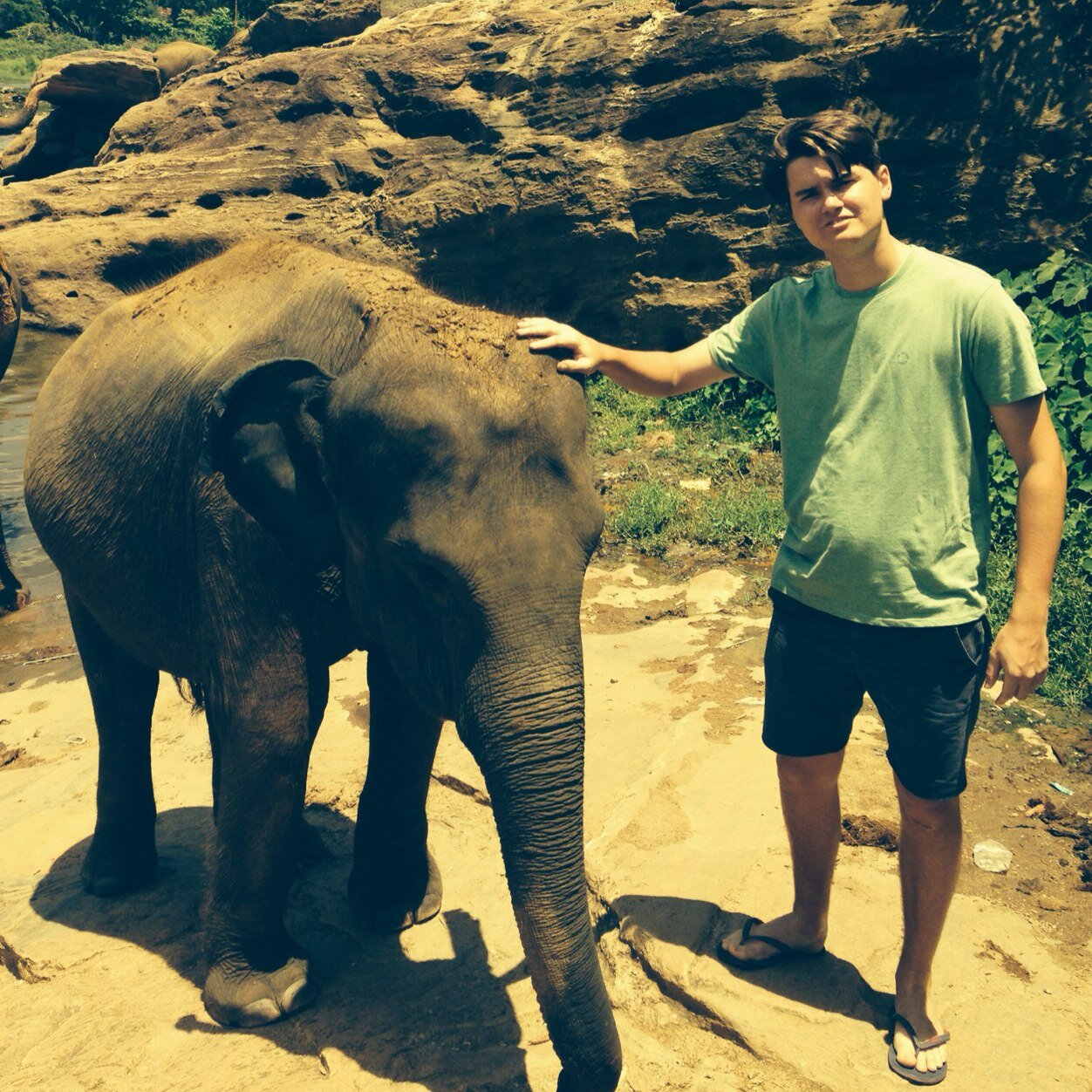 LewisRoyce's profile picture. 