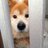 midori_ob3's profile image