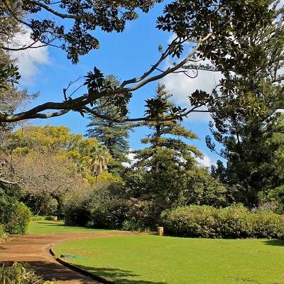 Claremont_CT's profile picture. 