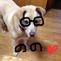アヤ (･∞･) (@aya_aya0415) Twitter profile photo