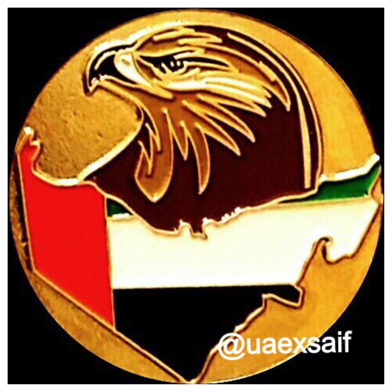الإمارات تسكنني قبل أن أسكنها