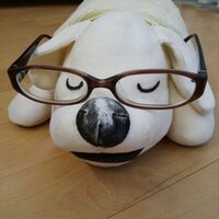 あんず (@lidorumaria) 's Twitter Profile