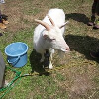 ひろしさん (@hiroshi3desuga) 's Twitter Profile Photo