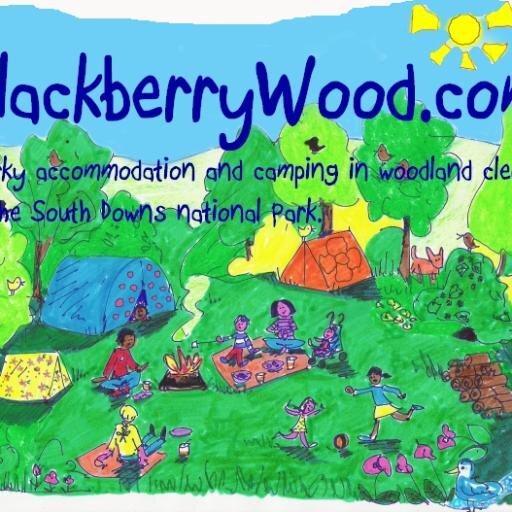 Back to nature campsite with private woodland clearings. campfires encouraged. Quirky #glamping in a Fire Engine, Gypsy van, London Bus, Helicopter, Treehouses