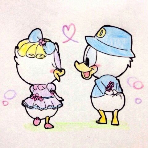 佐々/佐西47/広大25*デイジー*うさぎや/福岡