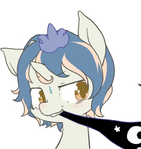トキさんのプロフィール画像