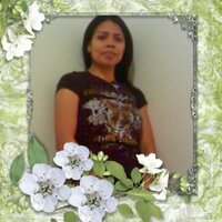 fikha lessy (@fikhalessy1) 's Twitter Profile