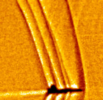 SonicBoomTV's profile picture. 