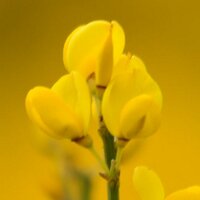 Refugio de Heda&Alanna Spa (@refugiodeheda) 's Twitter Profile
