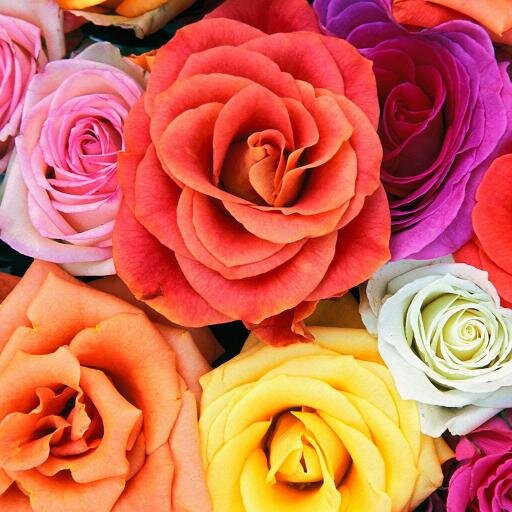 Shiobhan_ITCS's profile picture. Accounts At ITCS