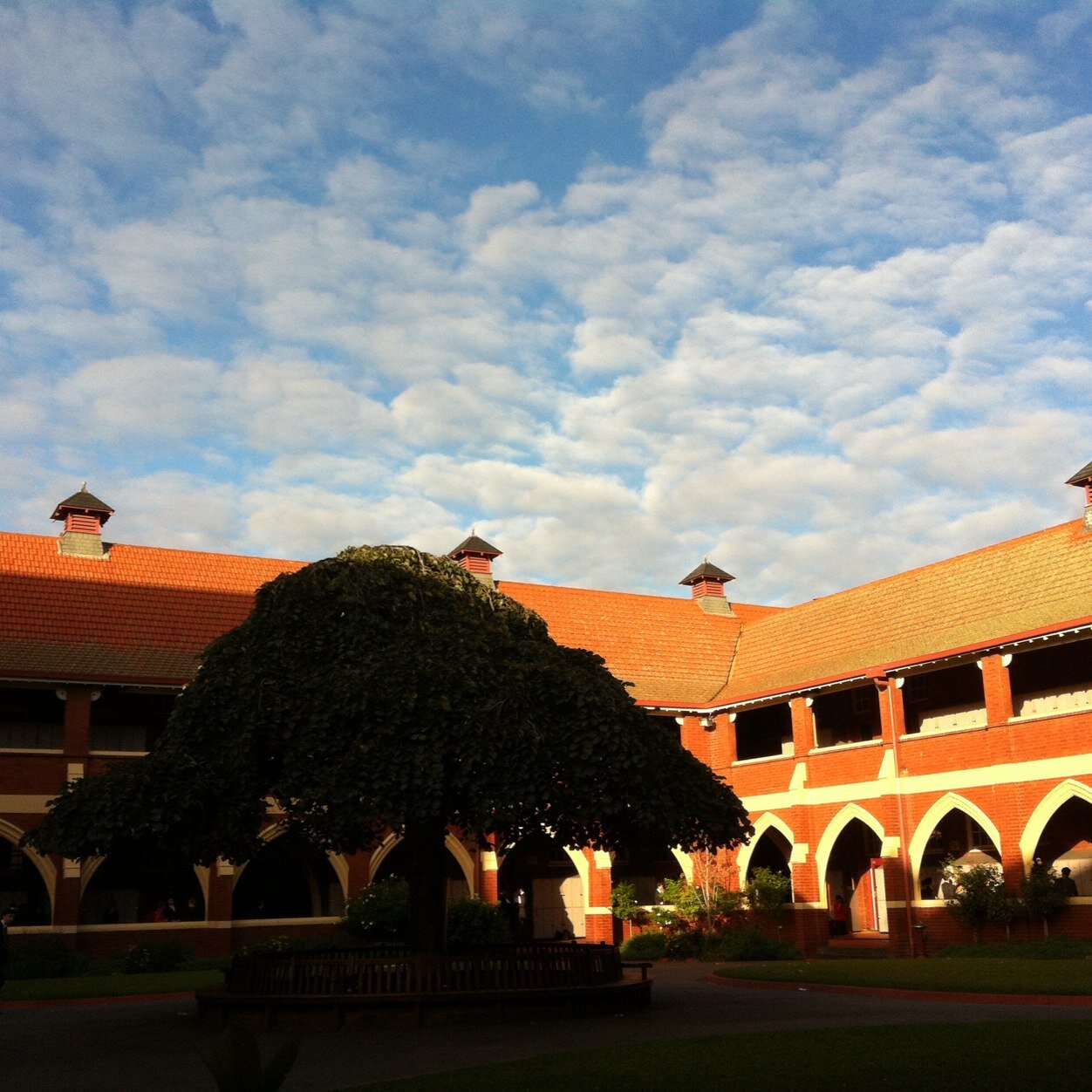 Scotch College