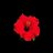 calphand12's profile image