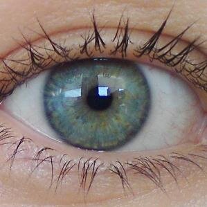 YSarden's profile picture. Om inget någonsin förändrades skulle fjarilar inte finnas...