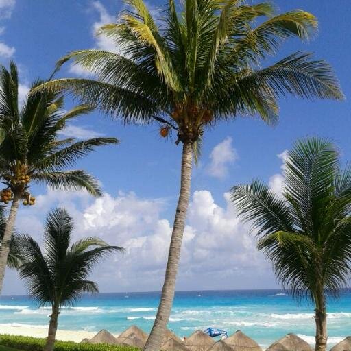 nozenko's profile picture. 