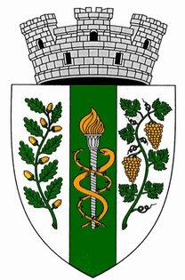 costiujeni , oraşul codru , spitalul clinic de psihiatrie , костюжень , костюжены , город кодру , психиатрическая больница костюжень костюжены .