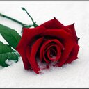 madouma romeo (@236romeo) Twitter