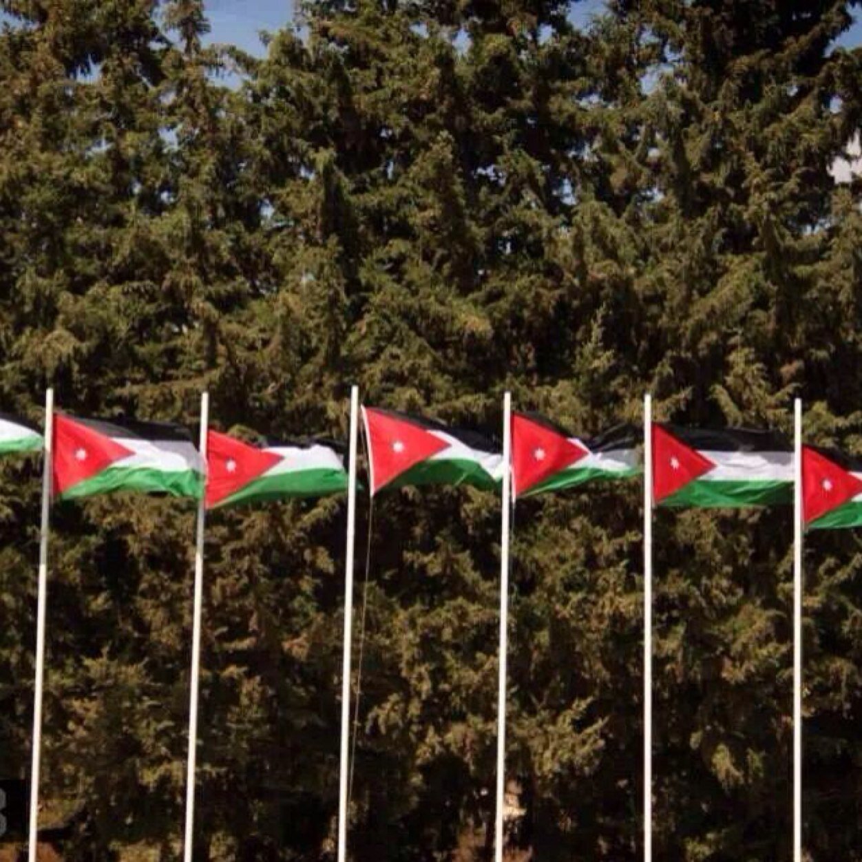 WAlbazary's profile picture. 