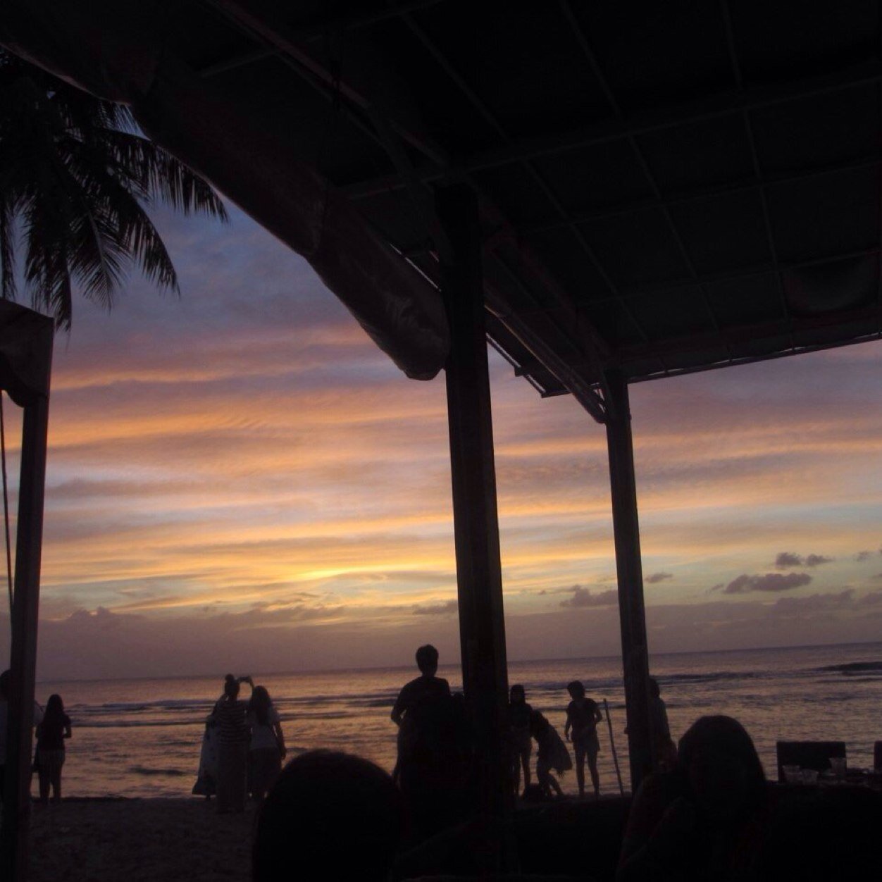 tekitobeen's profile picture. 