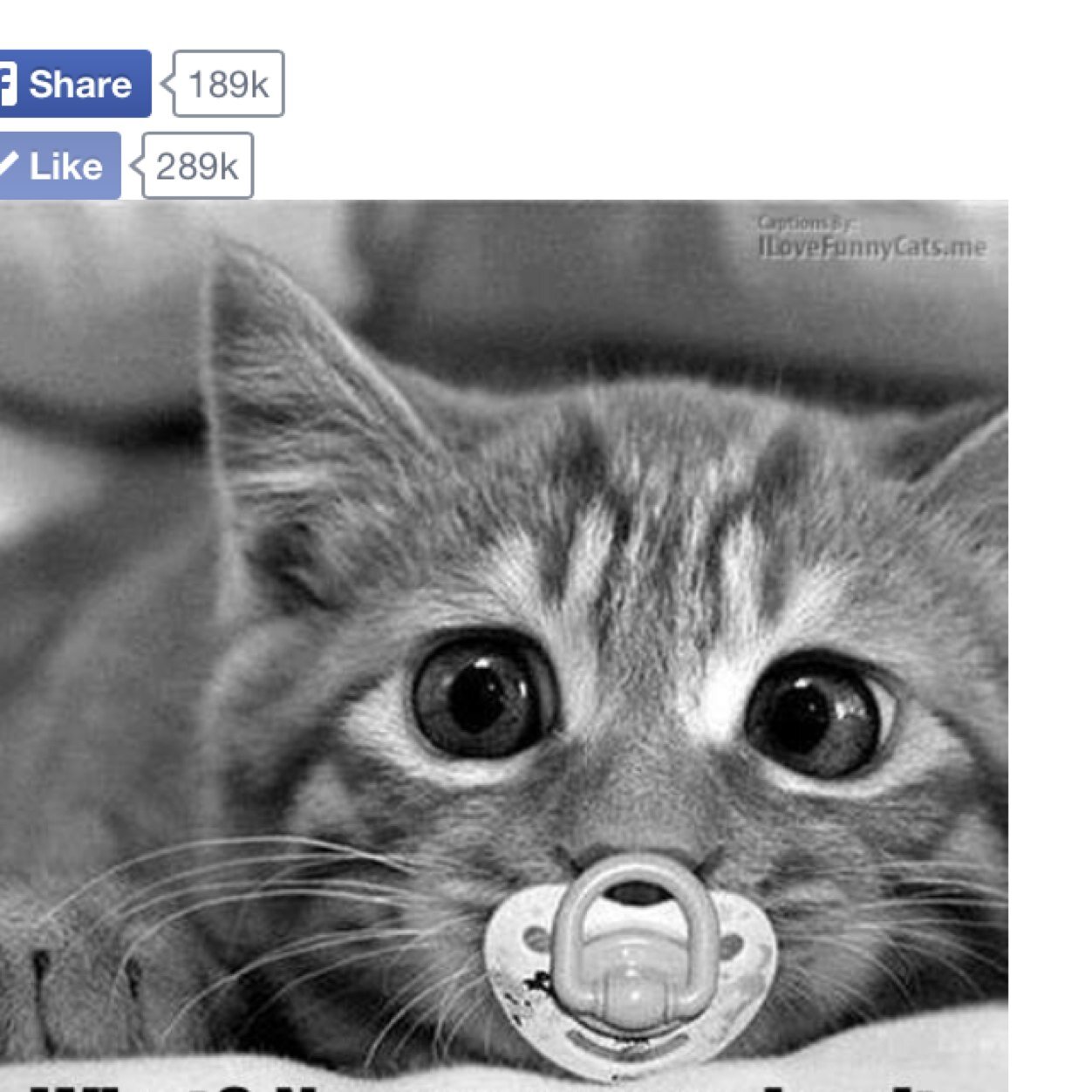 WENDPAGE's profile picture. 