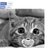 WENDPAGE's profile image