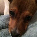 Karla Hills - @HillCountryK - Twitter