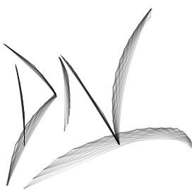 DNSolutions14's profile picture. 