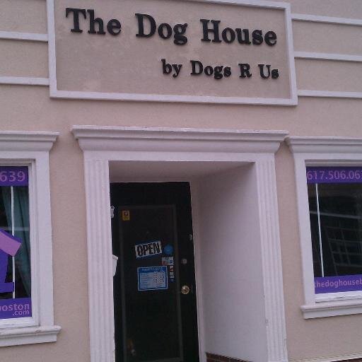 we are a Dog daycare facility that caters to your dogs needs, we also offer in home pet sitting, daily walk, and in store retail as well