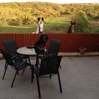 Glyn Haynes (@glynhaynes) 's Twitter Profile
