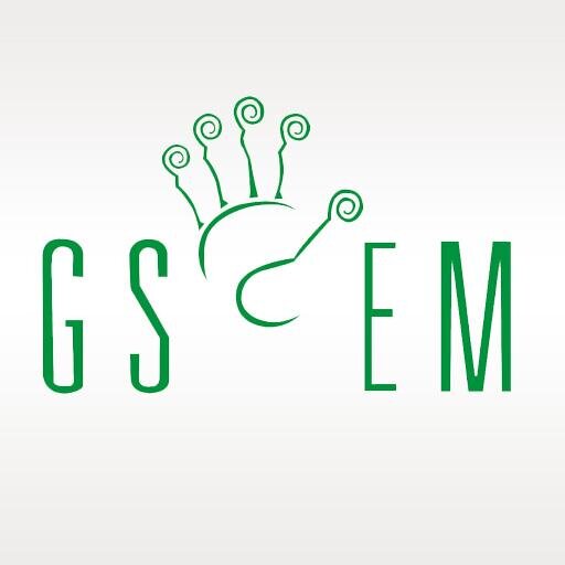 gsemevent's profile picture. Geurilla Support Event Marketing