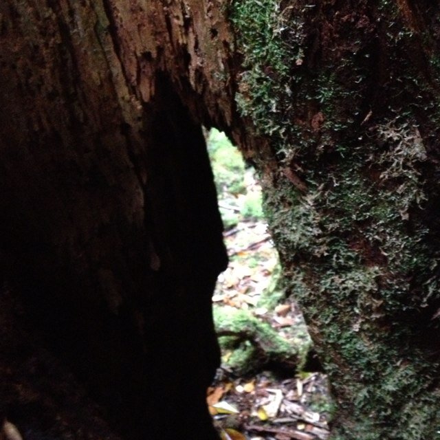 tabibi00893's profile picture. 2人で旅をしています。