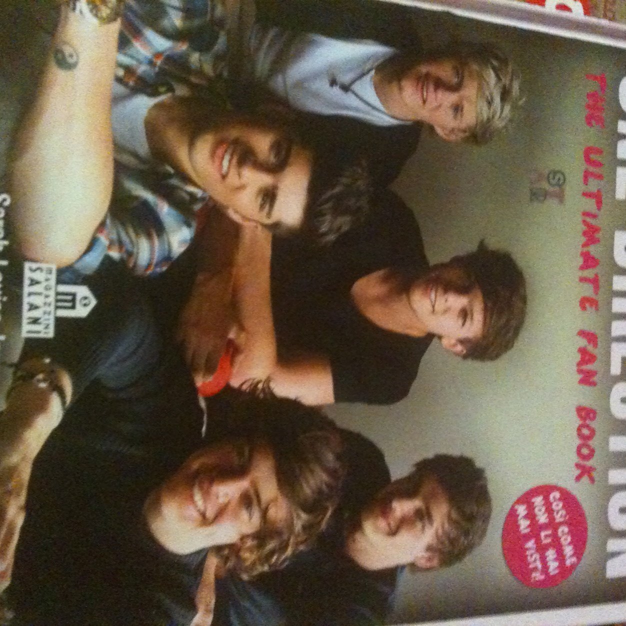 Vi amo one direction
