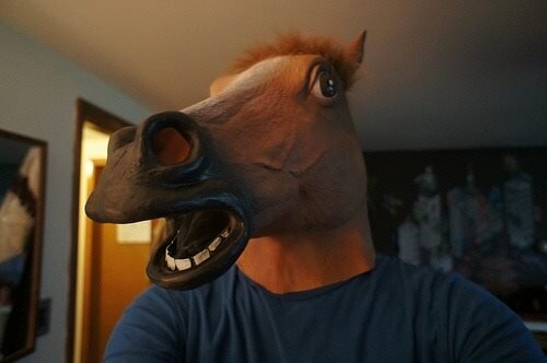 Pferdelicious's profile picture. Prrr.. Klock Klock Weeehehee!