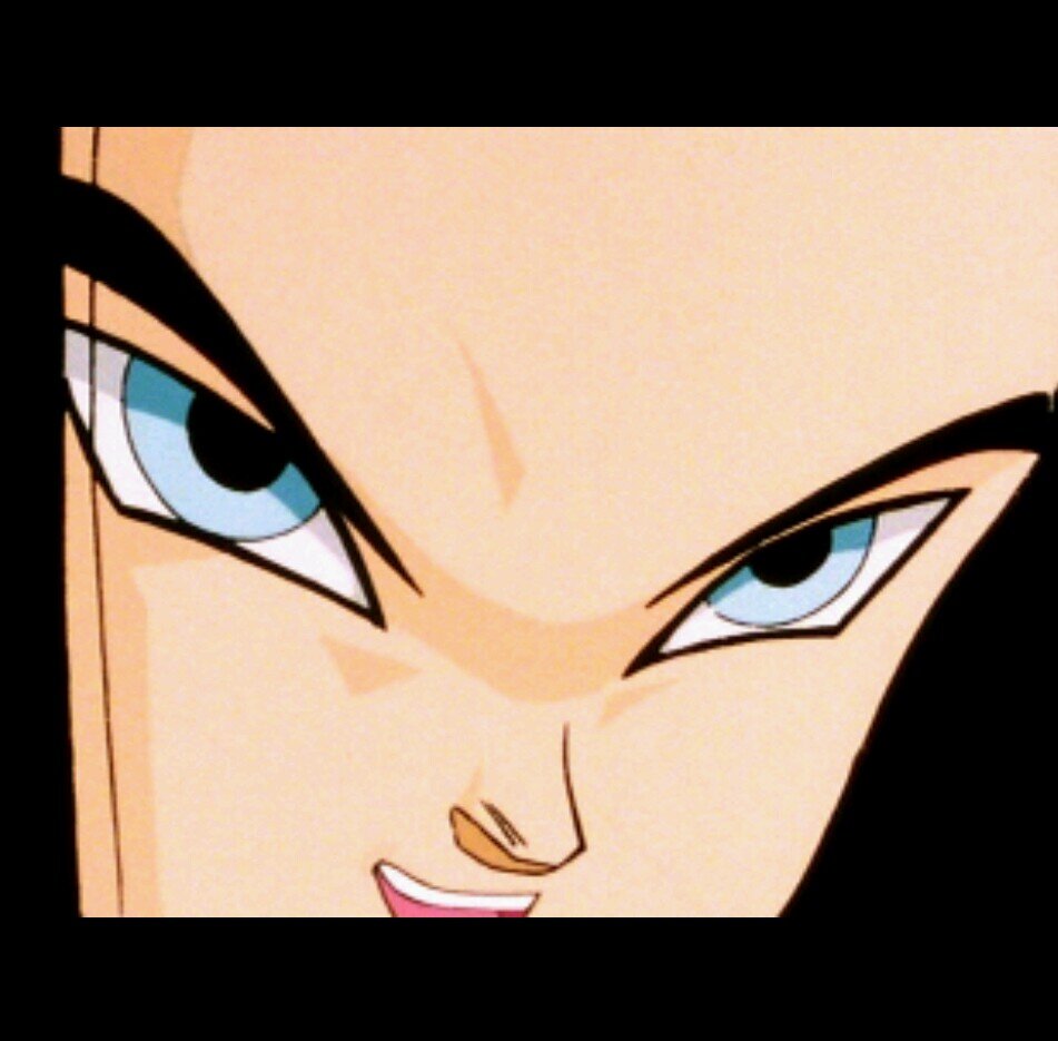 ドラゴンボールの人造人間17号非公式botです。1時間に1回つぶやきます。リプにはまだ少ないですが反応します。時々手動です。何かありましたらDMで