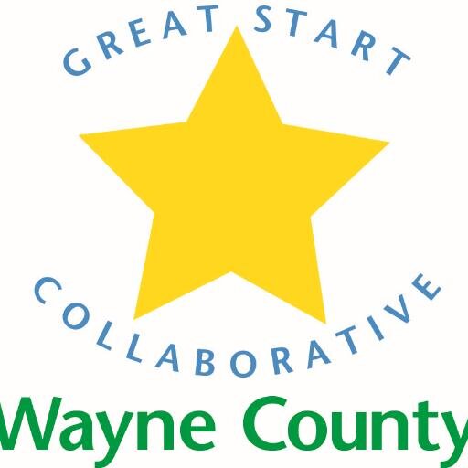 We are a non-profit dedicated to improving the lives of children in Wayne County