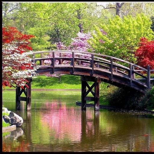 adriaa022293's profile picture. JESUS,YO CONFIO EN TI