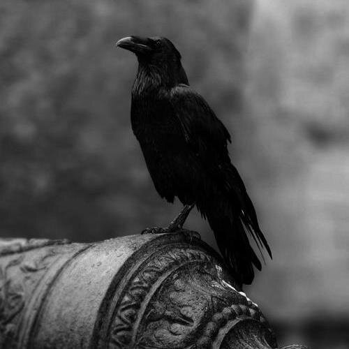 | Bright | «El verdadero poeta no narra su dolor, narra el del resto.»