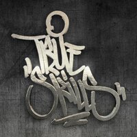 TRUE SKILLS (@true_skills) 's Twitter Profile