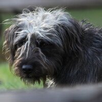 Sprouts no 1 fan (@sprout1111) 's Twitter Profile