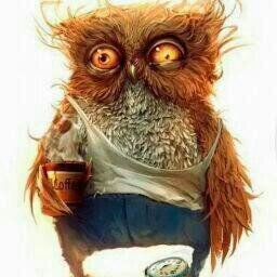 scriptor1309's profile picture. 