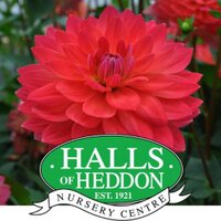 Halls of Heddon (@hallsofheddon) 's Twitter Profile