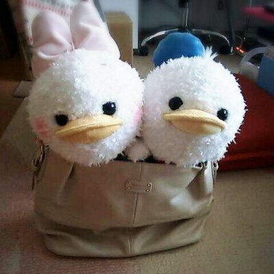 まつおゆり