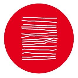 INSIDDE is a FP7 project aimed at imaging, detection and digitisation of hidden elements in artworks