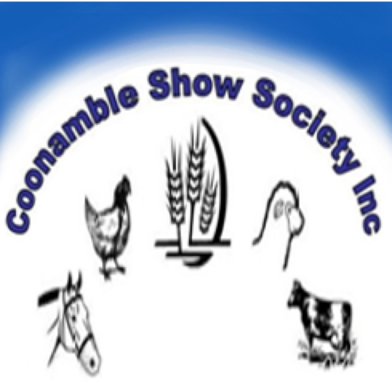 We promote agriculture in the Coonamble Shire with an annual 2 day show.